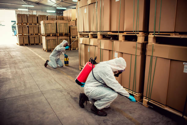 Best Pest Removal Services  in Ojus, FL