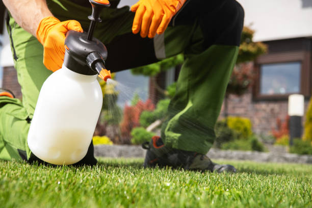 Best Termite Control Services  in Ojus, FL