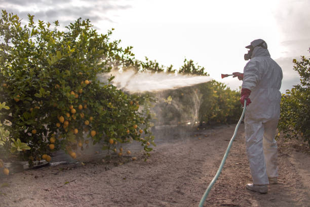 Professional Pest Control in Ojus, FL