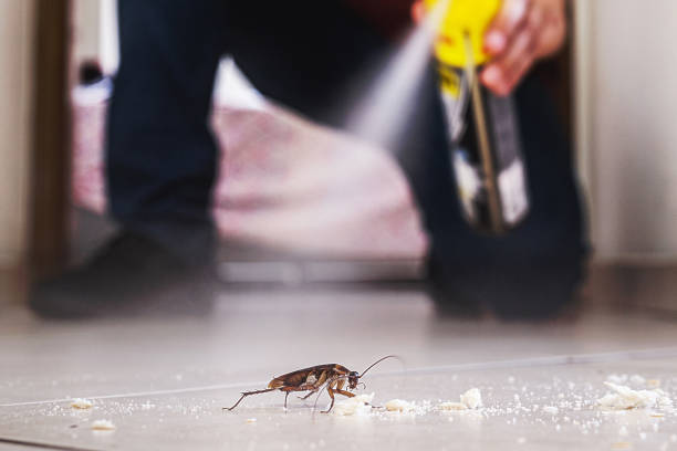 Best Pest Control Cost  in Ojus, FL