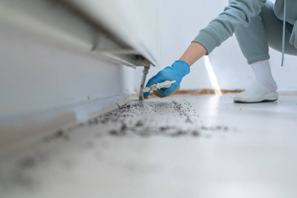 Best Best Pest Control Companies  in Ojus, FL