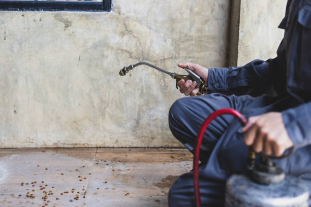 Pest Control Cost in Ojus, FL